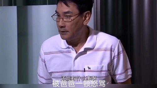 风味绝配泰剧免费观看2,泰剧免费观看，一场味蕾与视觉的盛宴